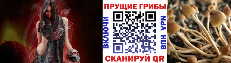 Псилоцибиновые грибы GOLDEN TEACHER  Сибай 